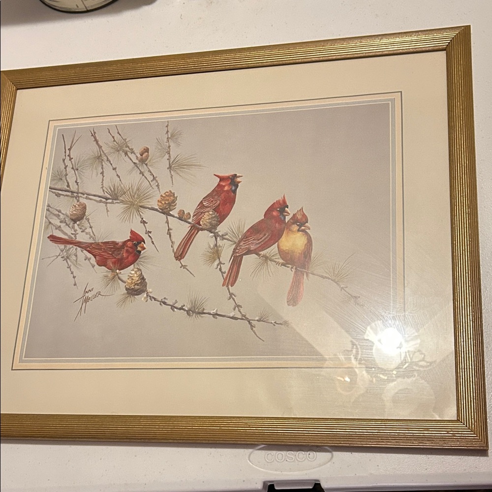 Anni Moller, Framed Cardinal Bird Art Print, 1989
